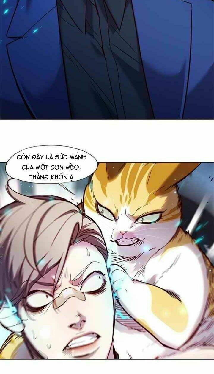 Biến Thân Thành Mèo Chapter 93 - Trang 2