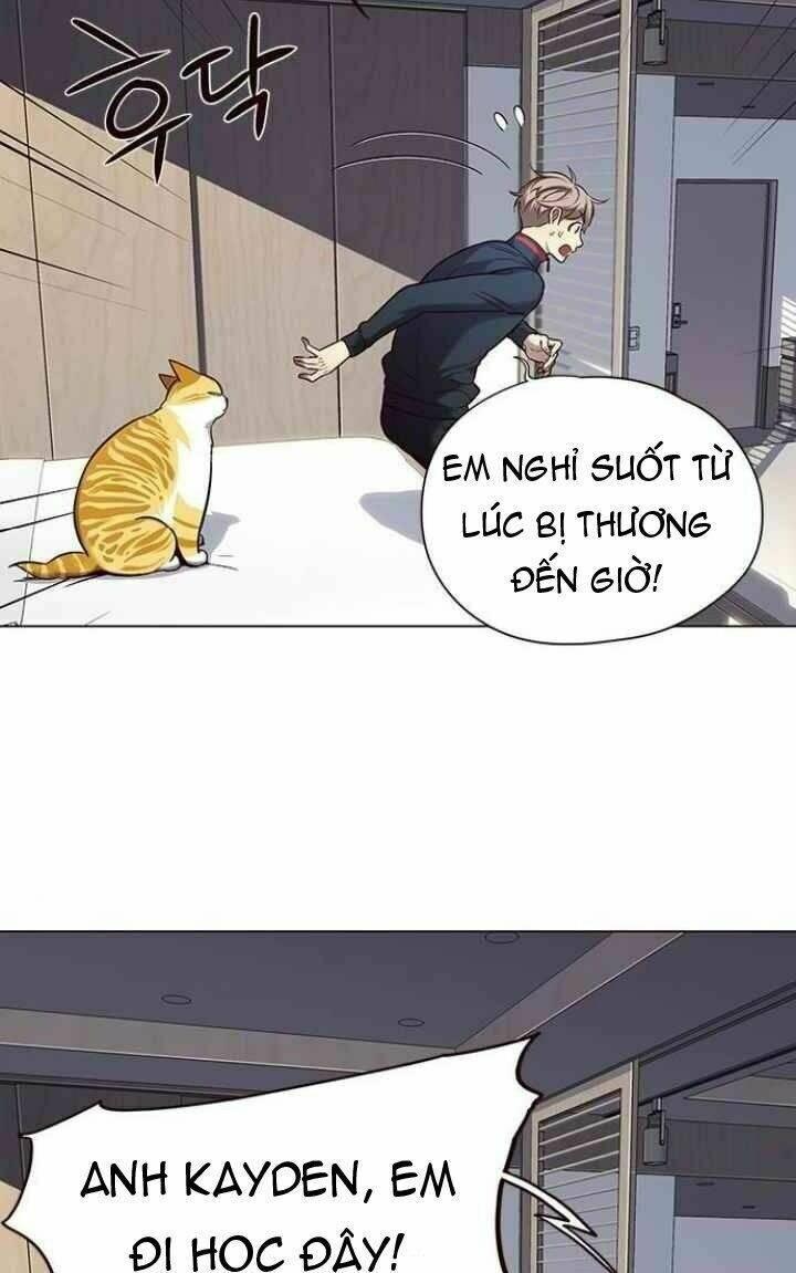 Biến Thân Thành Mèo Chapter 95 - Trang 2