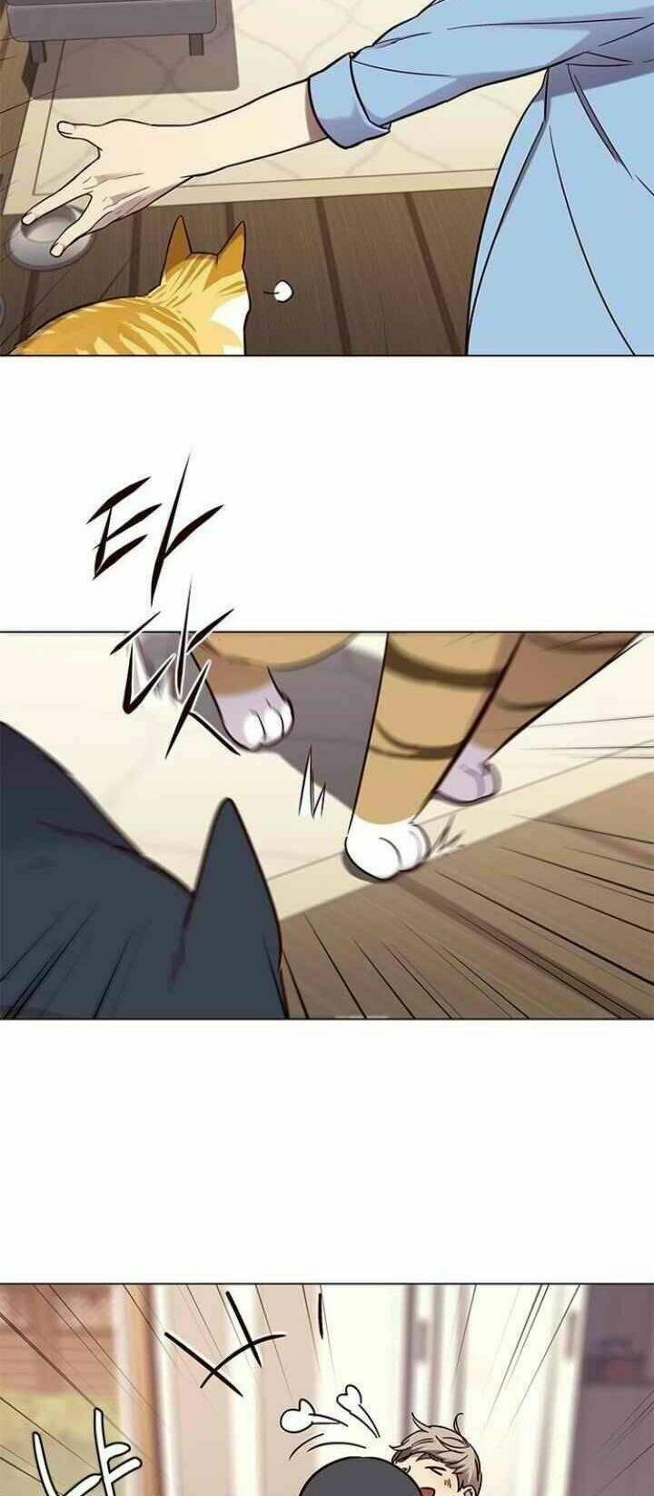 Biến Thân Thành Mèo Chapter 99 - Trang 2