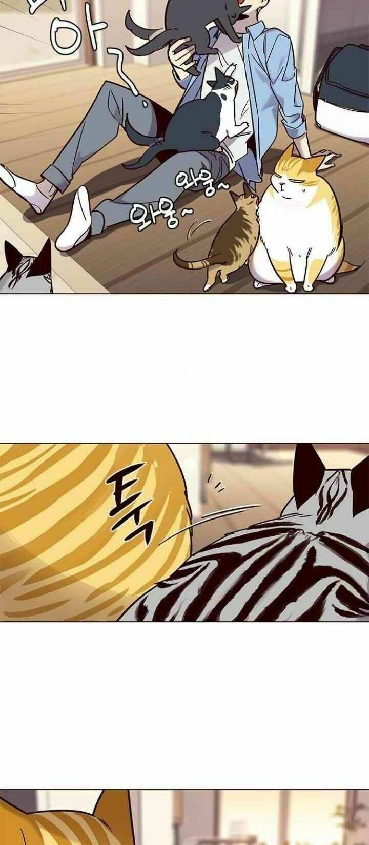 Biến Thân Thành Mèo Chapter 99 - Trang 2