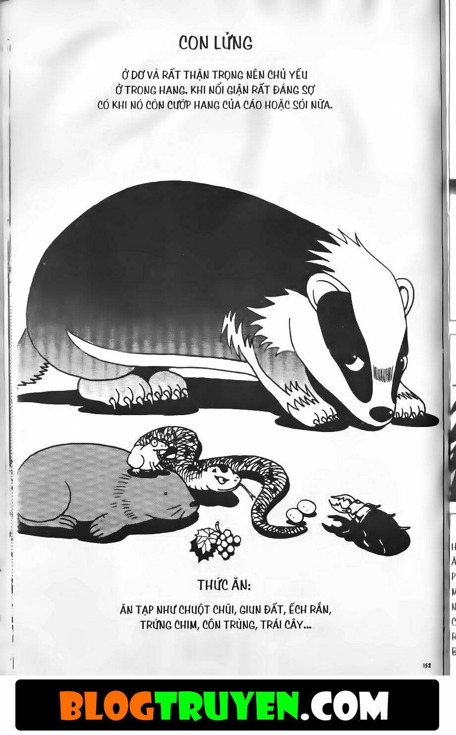 Bitagi – Anh Chàng Ngổ Ngáo Chapter 196 - Trang 2