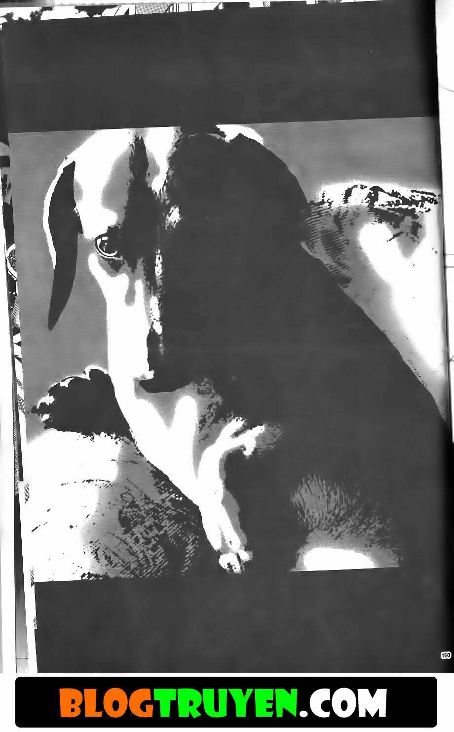 Bitagi – Anh Chàng Ngổ Ngáo Chapter 224 - Trang 2