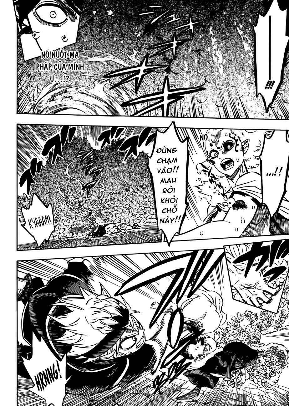 Black Clover – Pháp Sư Không Phép Thuật Chapter 203 - Trang 2