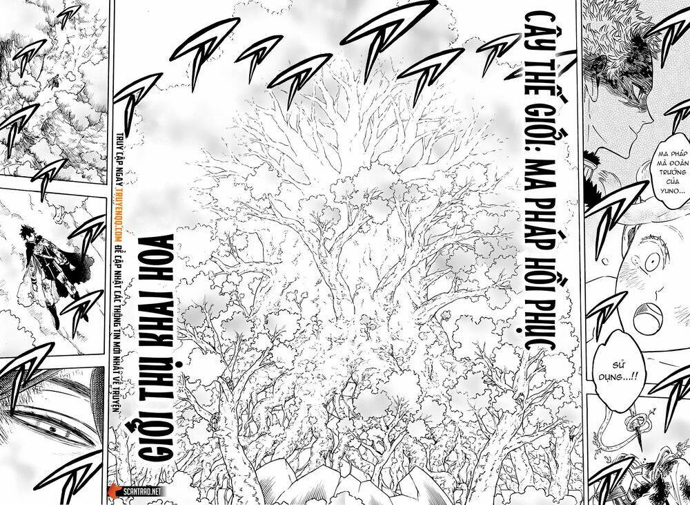 Black Clover – Pháp Sư Không Phép Thuật Chapter 239 - Trang 2