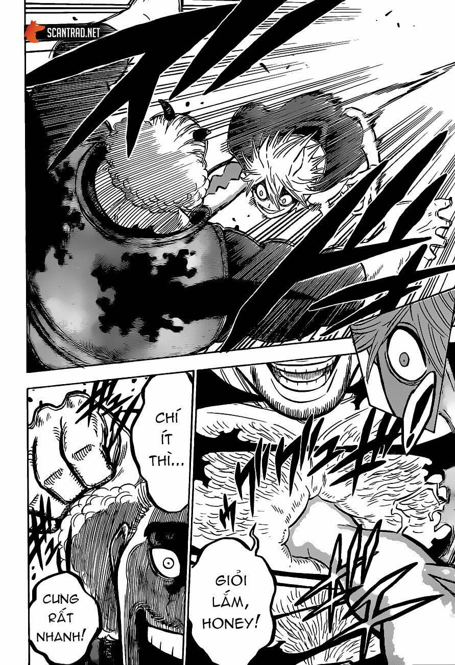 Black Clover – Pháp Sư Không Phép Thuật Chapter 247 - Trang 2