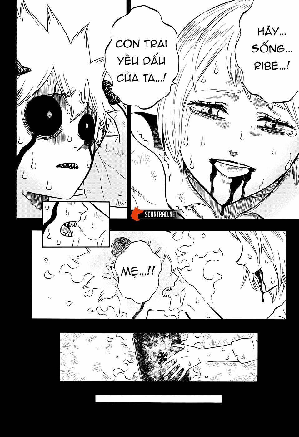 Black Clover – Pháp Sư Không Phép Thuật Chapter 268 - Trang 2