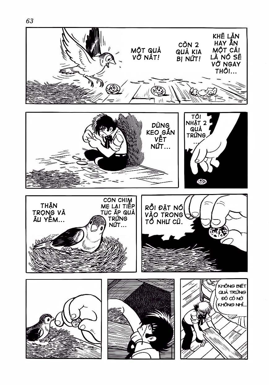 Black Jack Chapter 173 - Trang 2