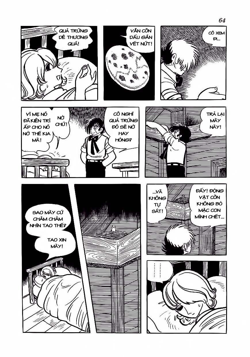 Black Jack Chapter 173 - Trang 2