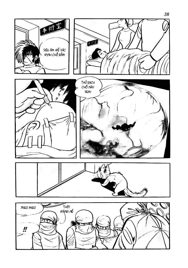 Black Jack Chapter 61 - Trang 2