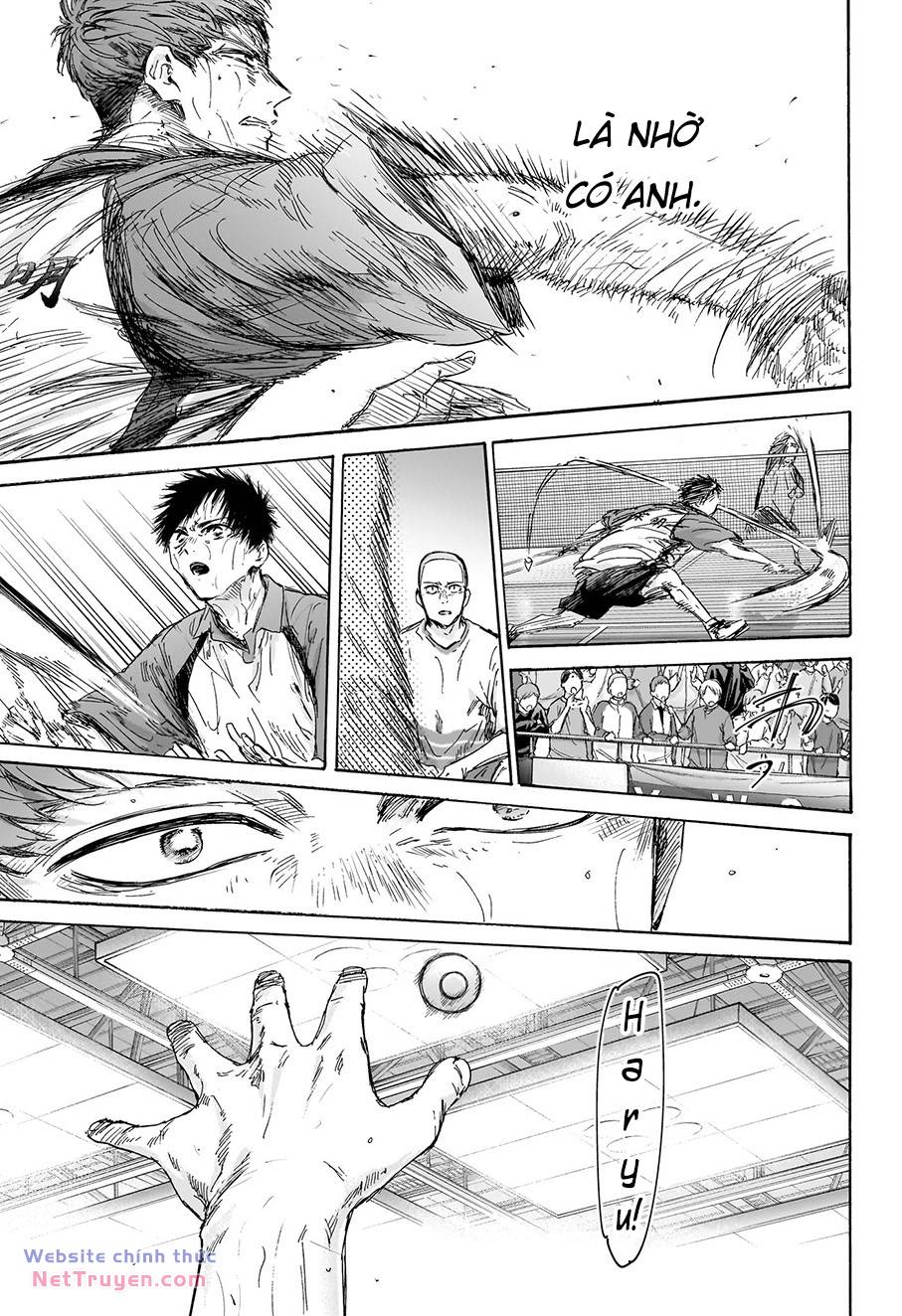 Blue Box Chapter 142 - Trang 2