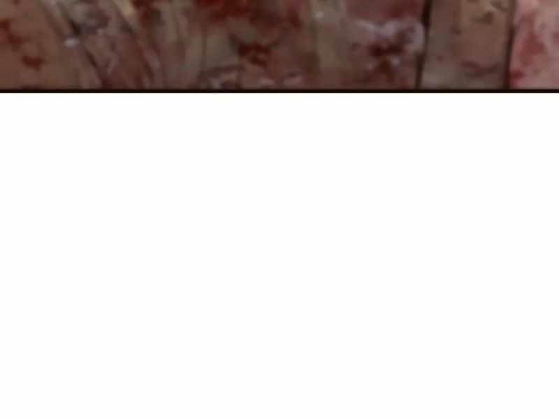 Bố Tôi Là Đặc Vụ Chapter 138 - Trang 2