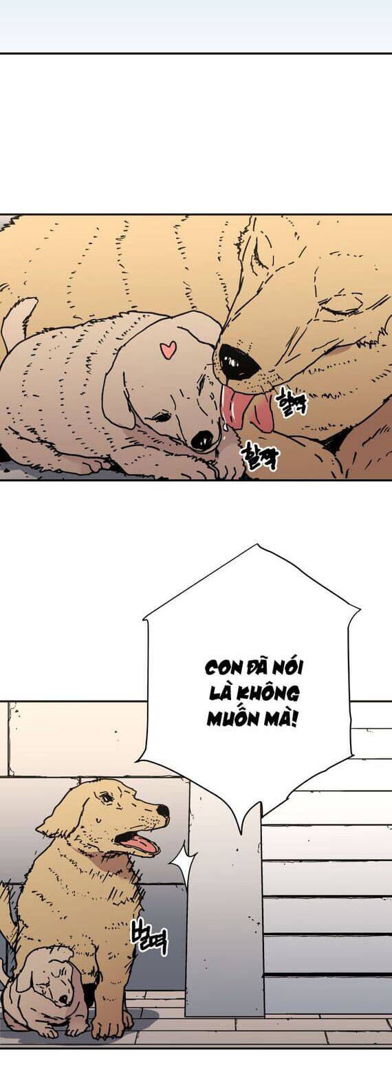 Bố Vô Song Chapter 148 - Trang 2