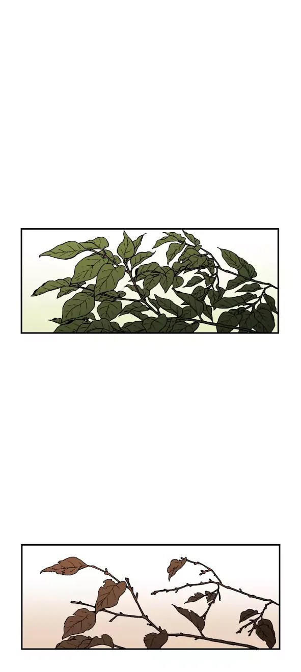 Bố Vô Song Chapter 30 - Trang 2