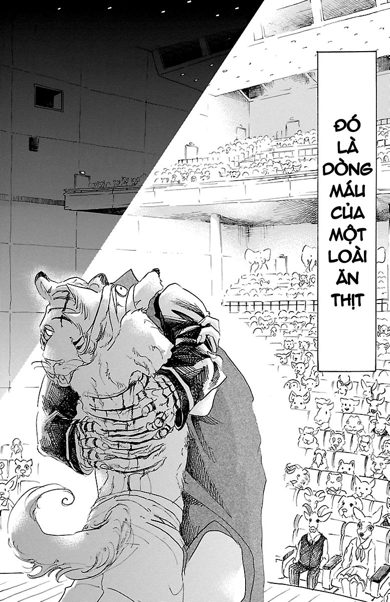 Bởi Vì Chúng Ta Đều Là Những Ngôi Sao Chapter 16 - Trang 2