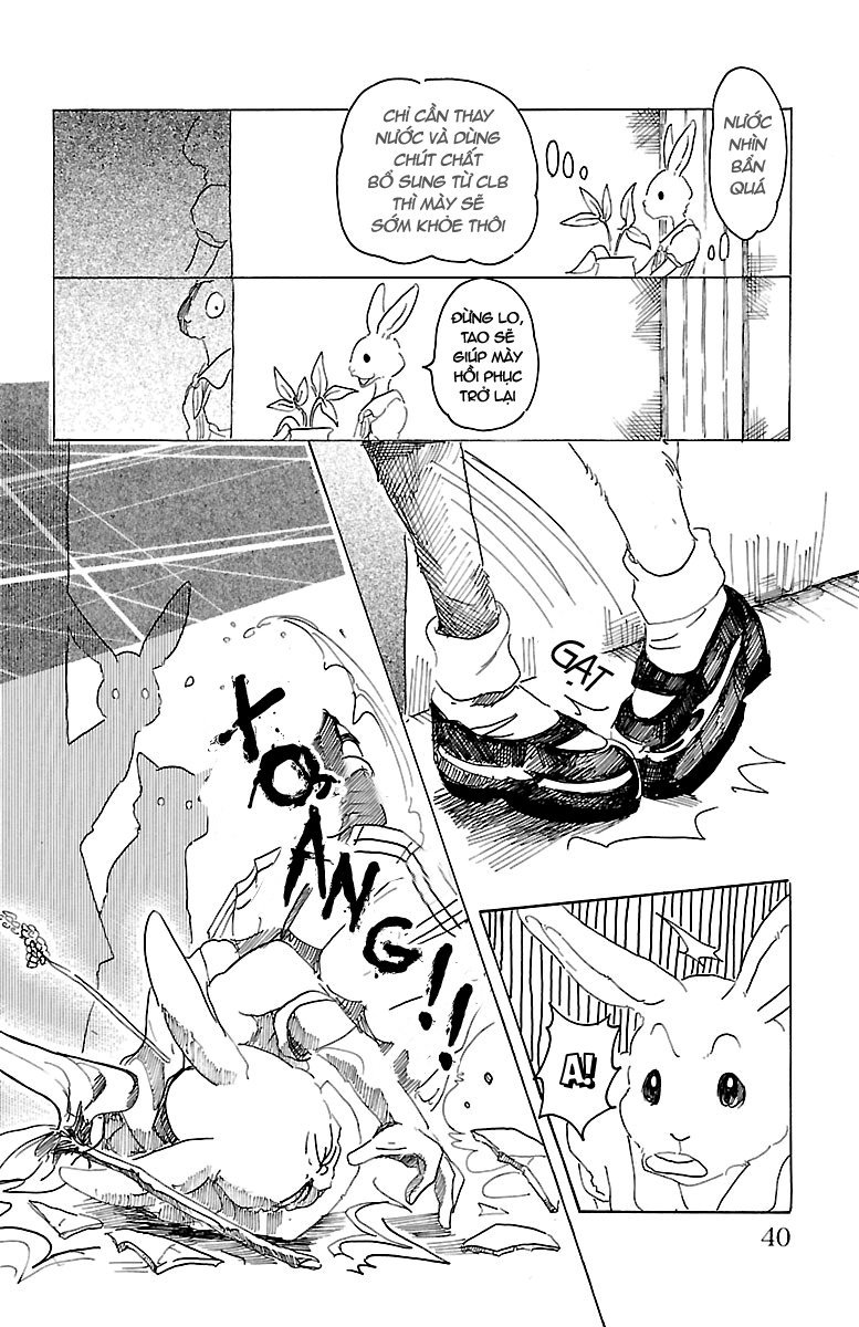 Bởi Vì Chúng Ta Đều Là Những Ngôi Sao Chapter 18 - Trang 2