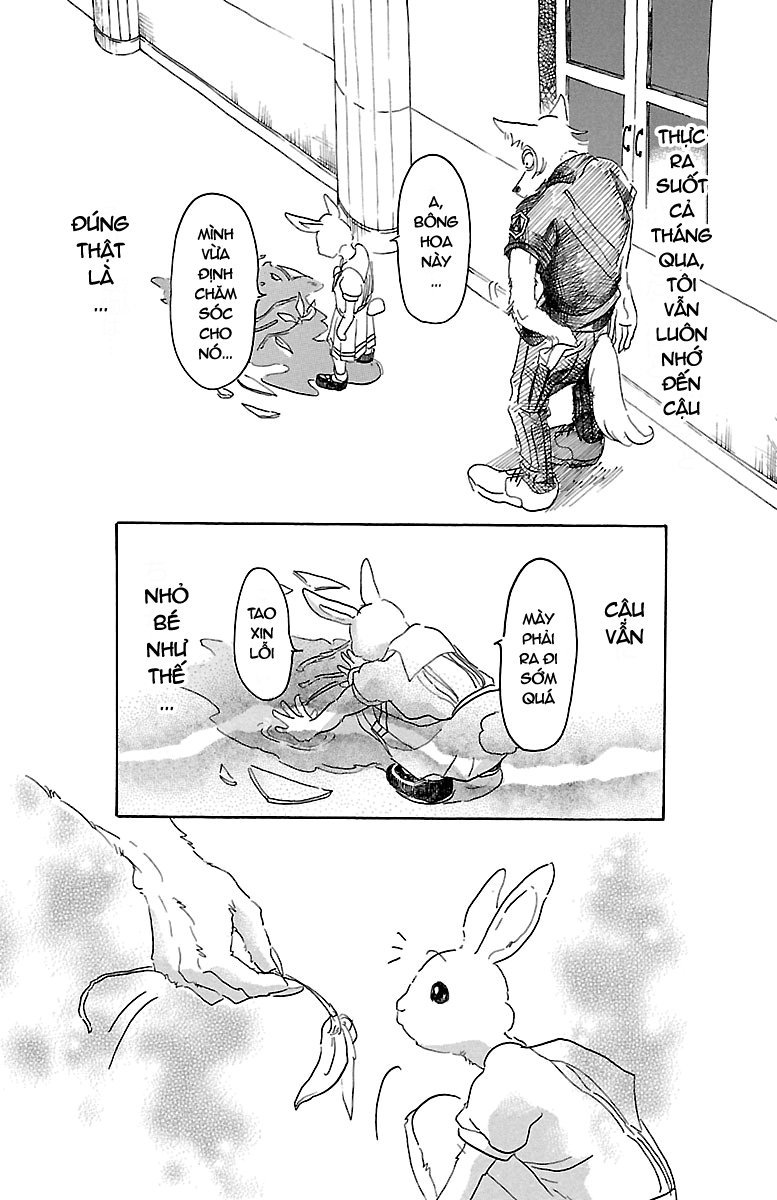 Bởi Vì Chúng Ta Đều Là Những Ngôi Sao Chapter 19 - Trang 2