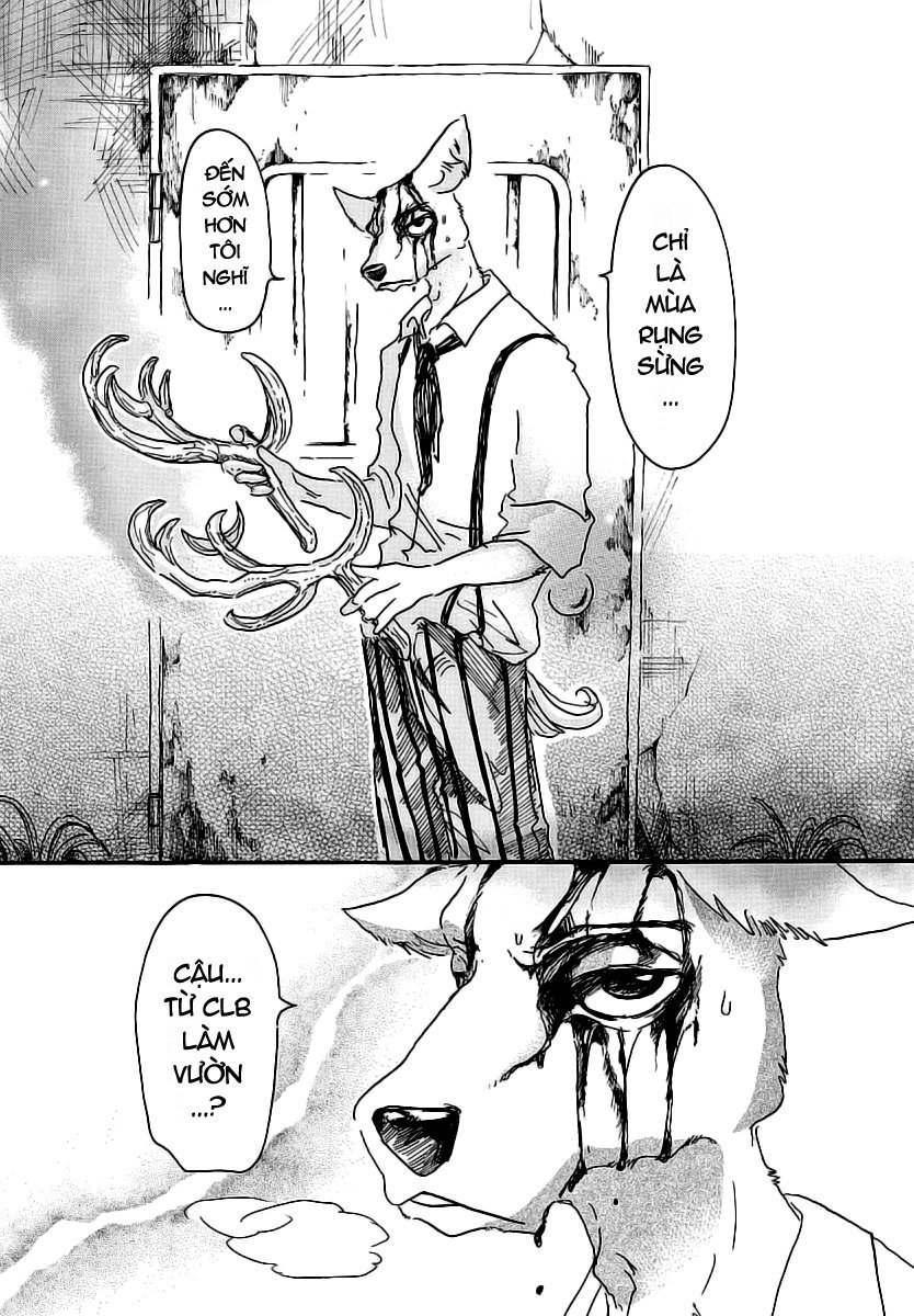 Bởi Vì Chúng Ta Đều Là Những Ngôi Sao Chapter 26 - Trang 2