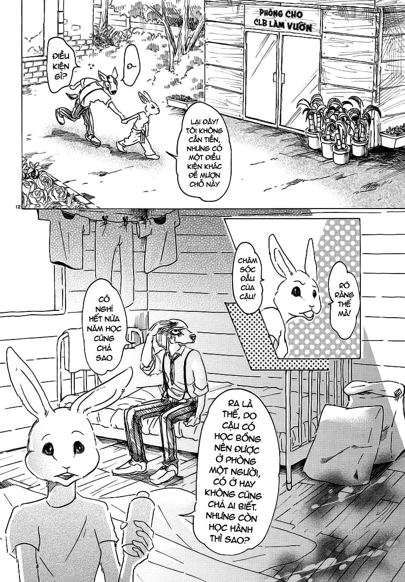 Bởi Vì Chúng Ta Đều Là Những Ngôi Sao Chapter 26 - Trang 2