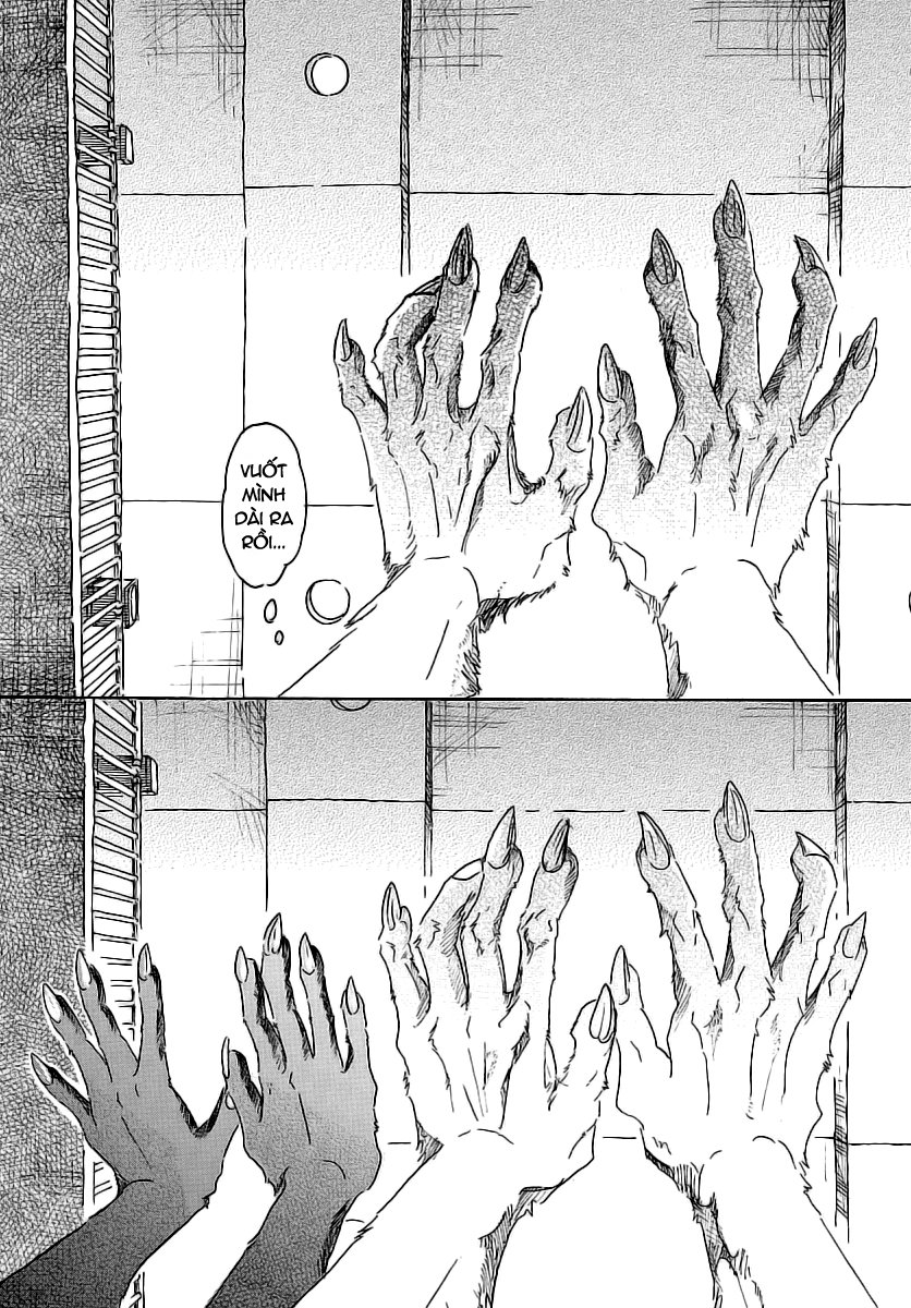 Bởi Vì Chúng Ta Đều Là Những Ngôi Sao Chapter 27 - Trang 2