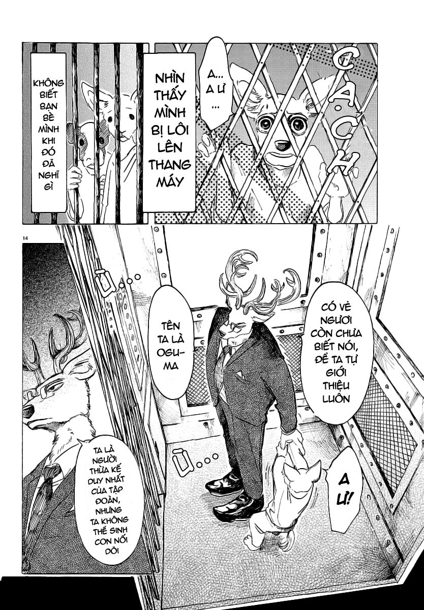 Bởi Vì Chúng Ta Đều Là Những Ngôi Sao Chapter 33 - Trang 2