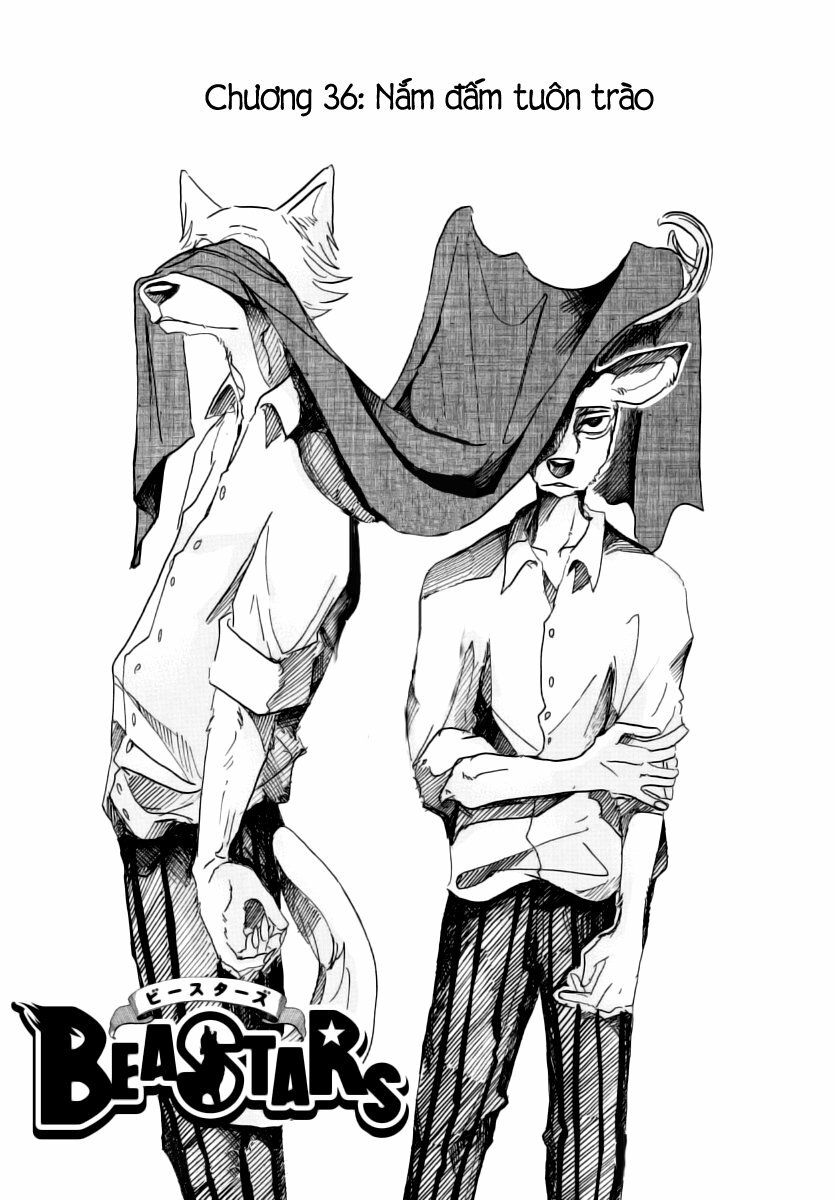 Bởi Vì Chúng Ta Đều Là Những Ngôi Sao Chapter 36 - Trang 2