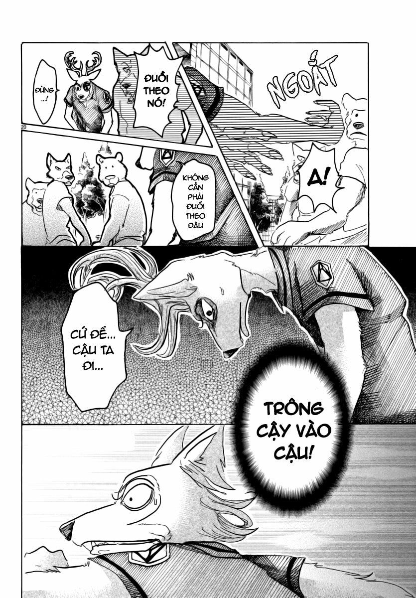 Bởi Vì Chúng Ta Đều Là Những Ngôi Sao Chapter 36 - Trang 2