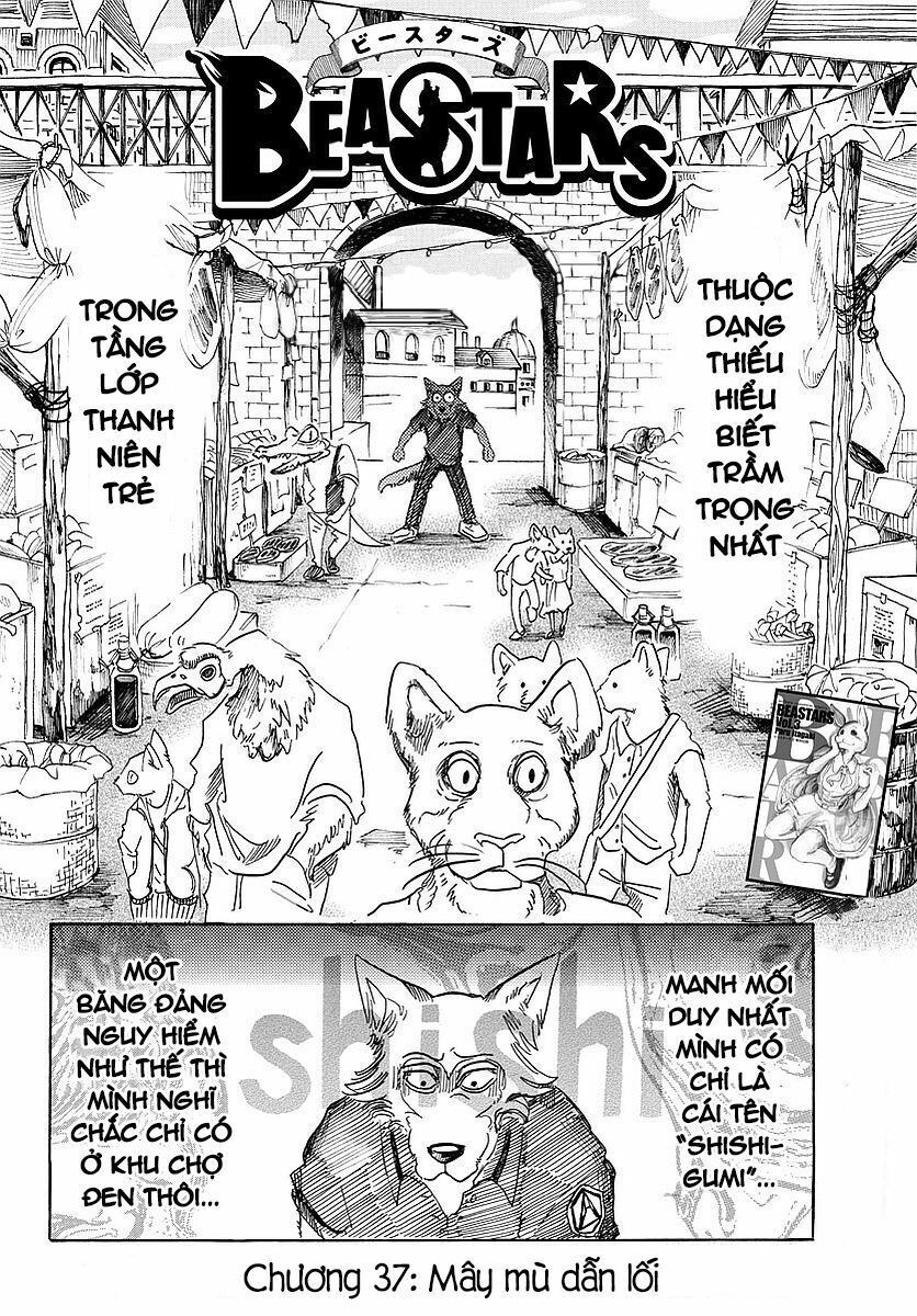 Bởi Vì Chúng Ta Đều Là Những Ngôi Sao Chapter 37 - Trang 2