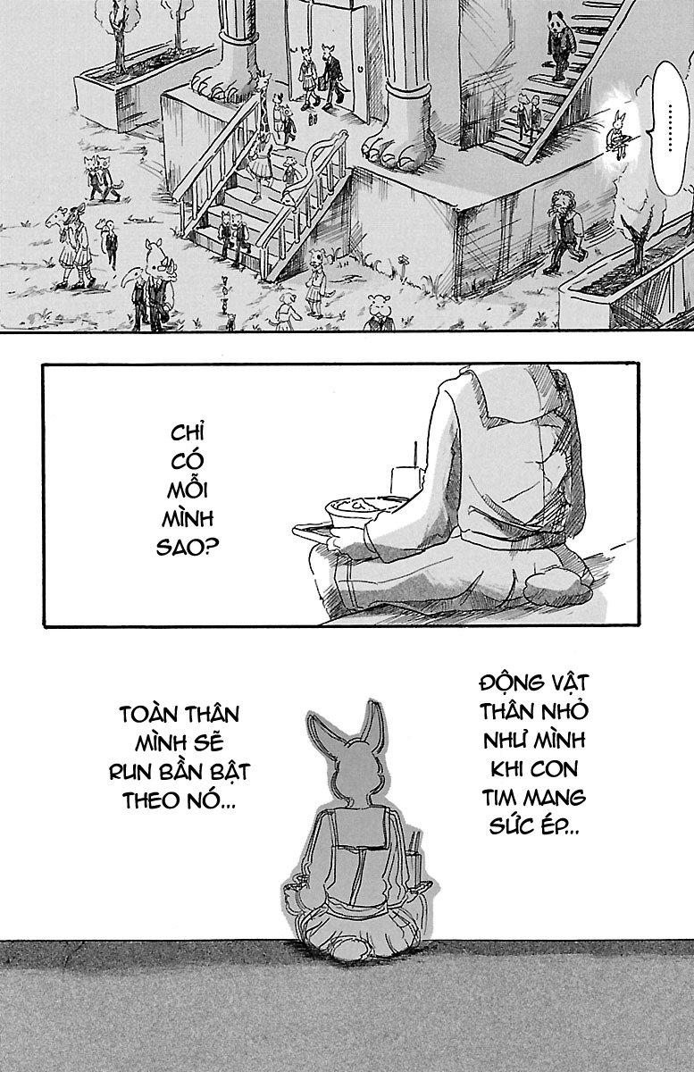 Bởi Vì Chúng Ta Đều Là Những Ngôi Sao Chapter 4 - Trang 2