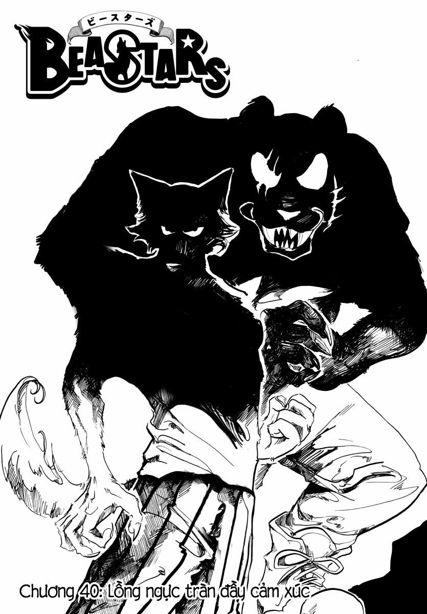 Bởi Vì Chúng Ta Đều Là Những Ngôi Sao Chapter 40 - Trang 2