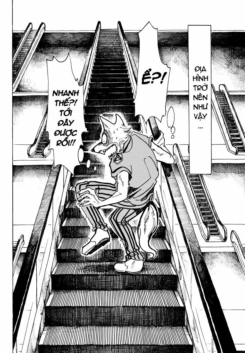 Bởi Vì Chúng Ta Đều Là Những Ngôi Sao Chapter 43 - Trang 2