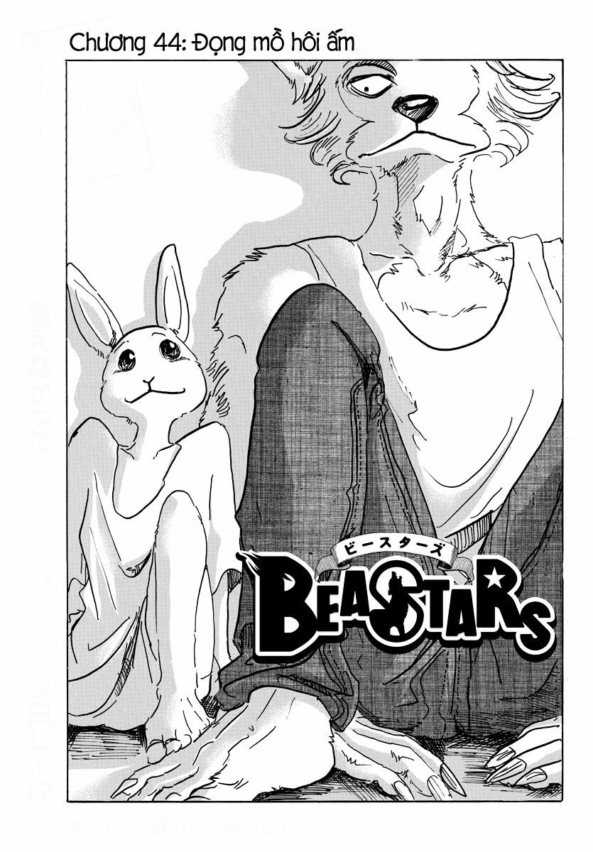 Bởi Vì Chúng Ta Đều Là Những Ngôi Sao Chapter 44 - Trang 2