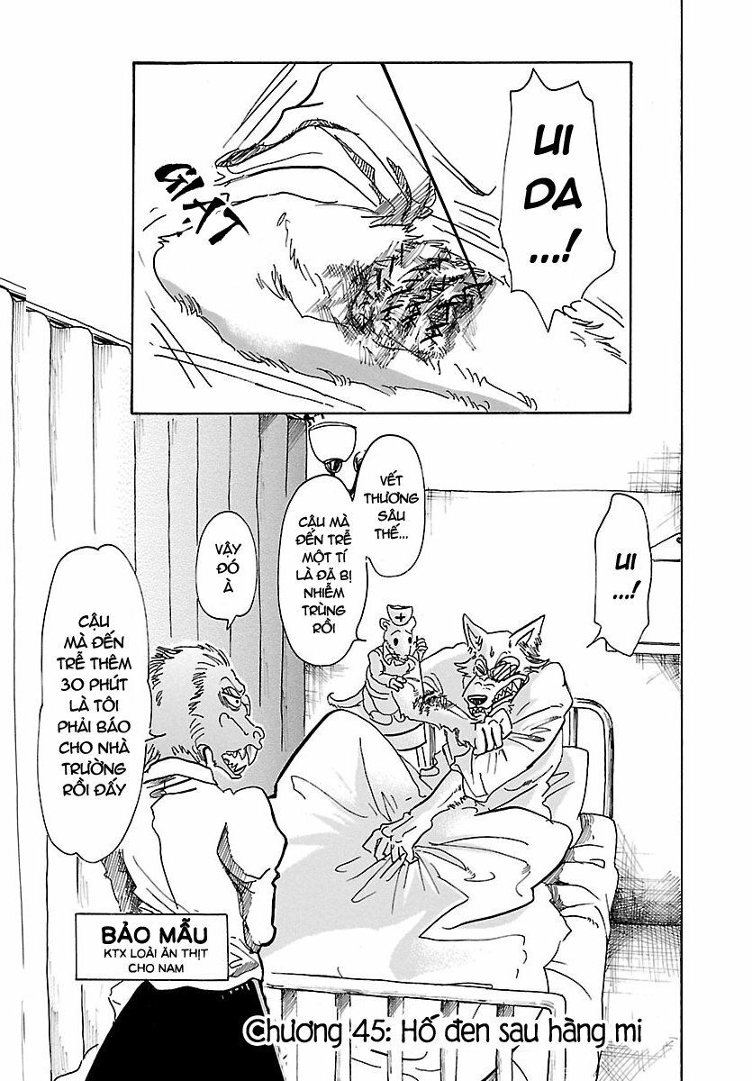 Bởi Vì Chúng Ta Đều Là Những Ngôi Sao Chapter 45 - Trang 2