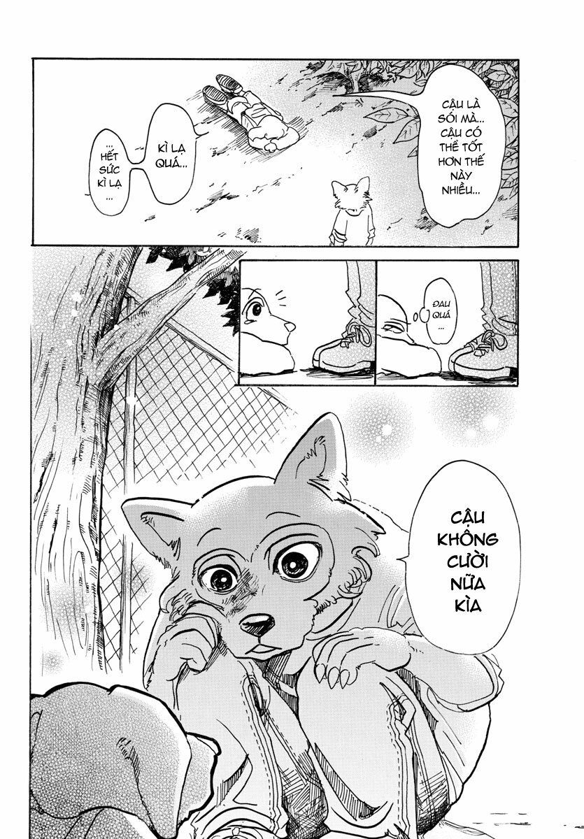 Bởi Vì Chúng Ta Đều Là Những Ngôi Sao Chapter 49 - Trang 2