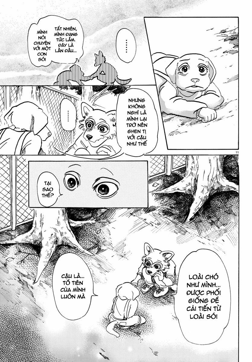 Bởi Vì Chúng Ta Đều Là Những Ngôi Sao Chapter 49 - Trang 2