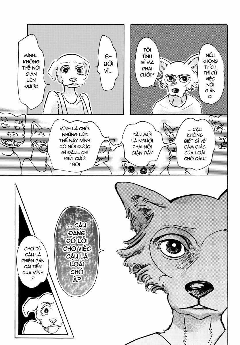 Bởi Vì Chúng Ta Đều Là Những Ngôi Sao Chapter 49 - Trang 2