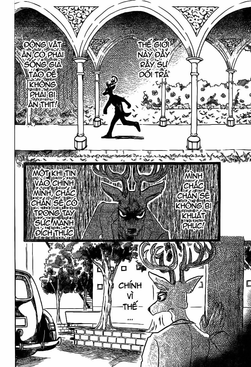 Bởi Vì Chúng Ta Đều Là Những Ngôi Sao Chapter 50 - Trang 2