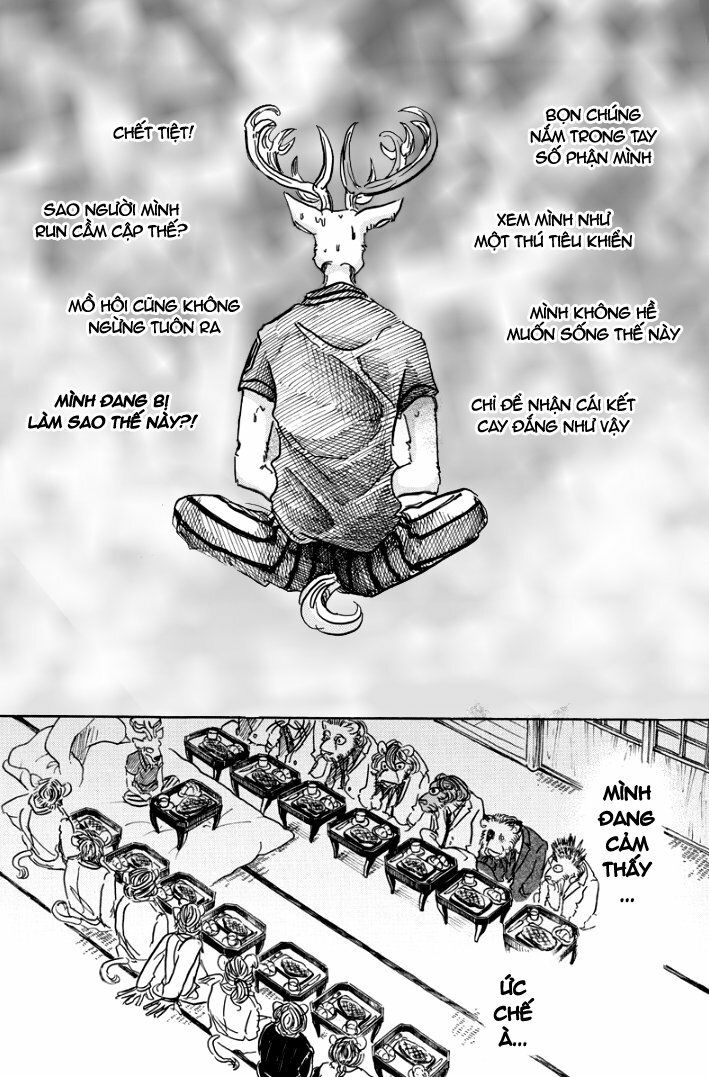 Bởi Vì Chúng Ta Đều Là Những Ngôi Sao Chapter 51 - Trang 2