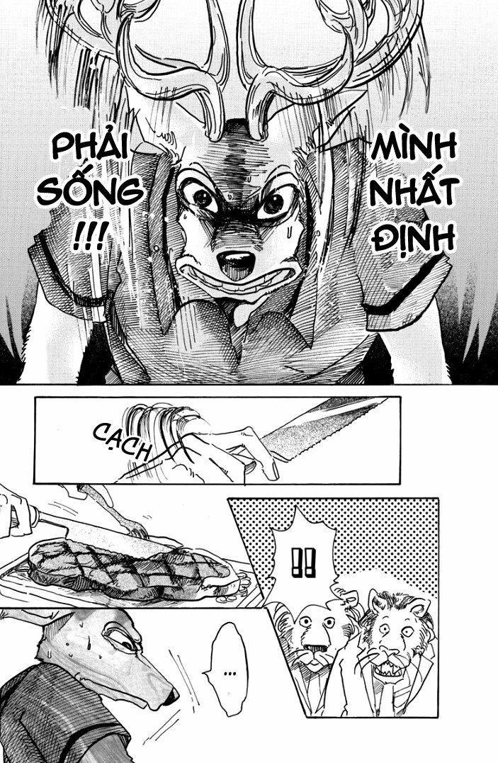 Bởi Vì Chúng Ta Đều Là Những Ngôi Sao Chapter 51 - Trang 2