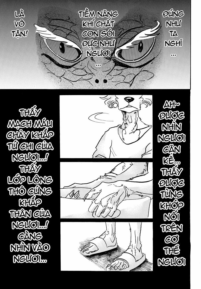 Bởi Vì Chúng Ta Đều Là Những Ngôi Sao Chapter 55 - Trang 2