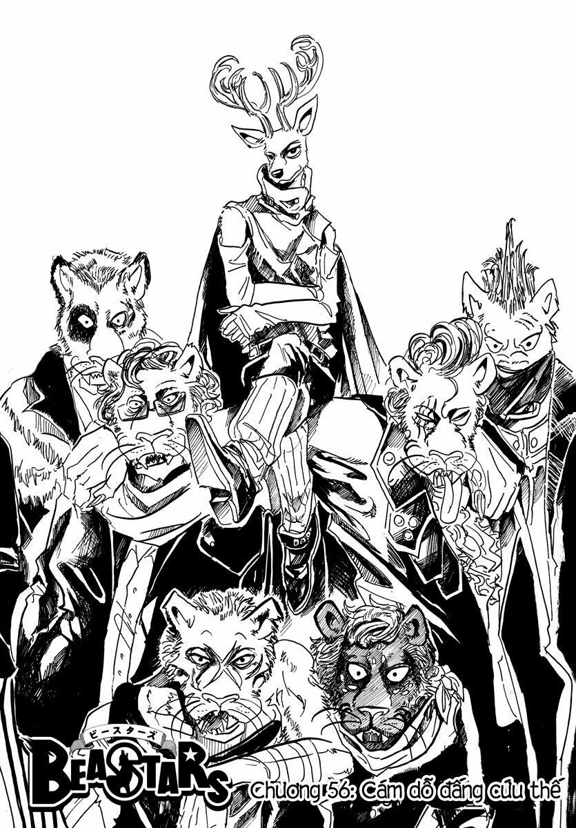 Bởi Vì Chúng Ta Đều Là Những Ngôi Sao Chapter 56 - Trang 2