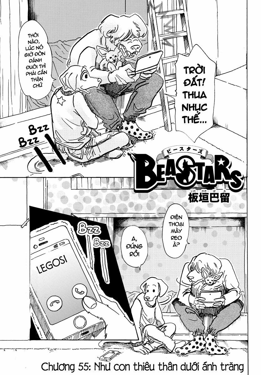 Bởi Vì Chúng Ta Đều Là Những Ngôi Sao Chapter 61 - Trang 2