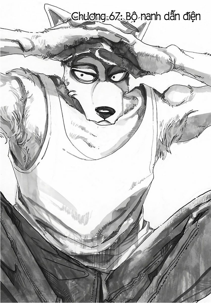 Bởi Vì Chúng Ta Đều Là Những Ngôi Sao Chapter 67 - Trang 2