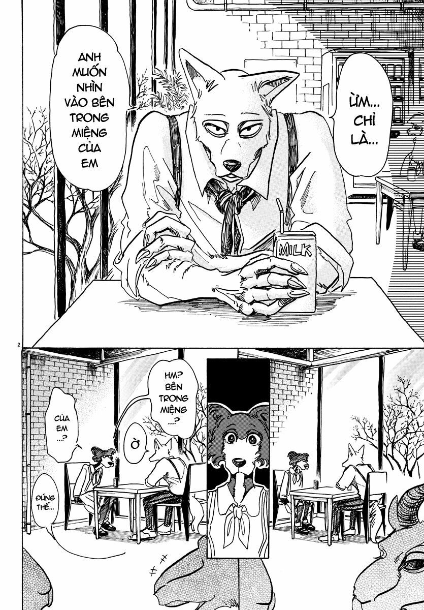 Bởi Vì Chúng Ta Đều Là Những Ngôi Sao Chapter 67 - Trang 2