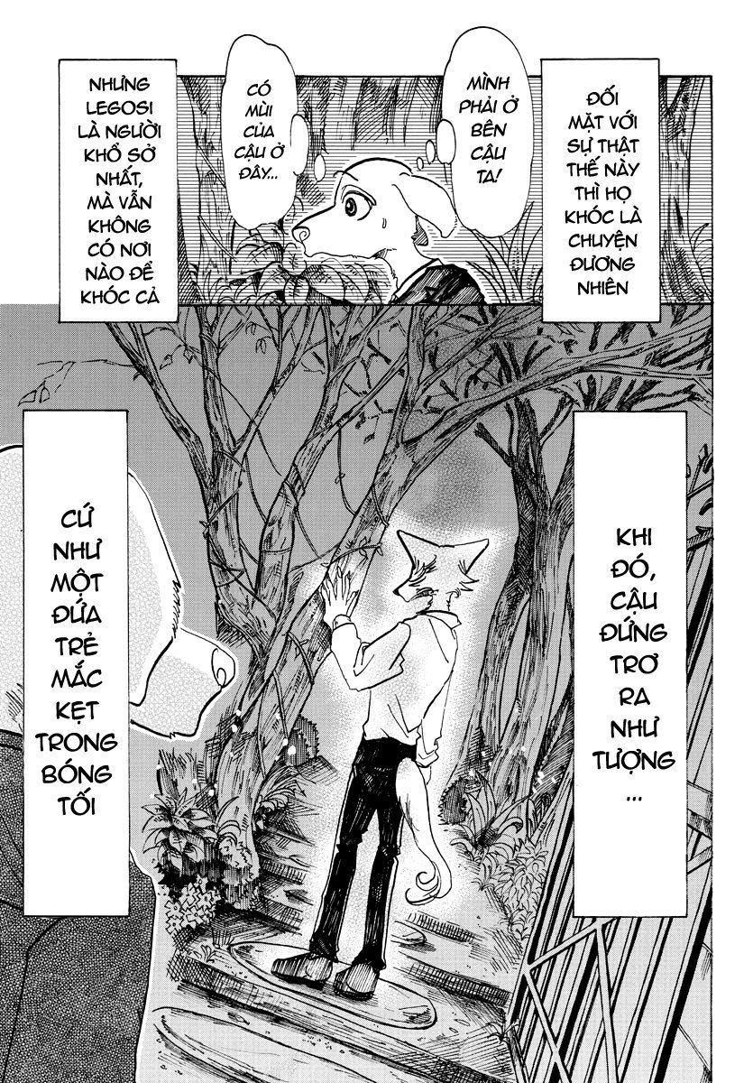 Bởi Vì Chúng Ta Đều Là Những Ngôi Sao Chapter 73 - Trang 2