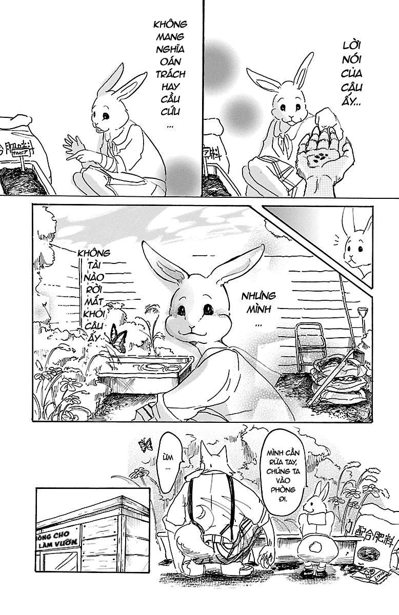 Bởi Vì Chúng Ta Đều Là Những Ngôi Sao Chapter 8 - Trang 2