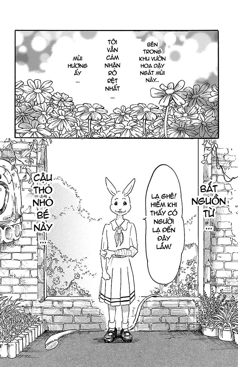 Bởi Vì Chúng Ta Đều Là Những Ngôi Sao Chapter 8 - Trang 2