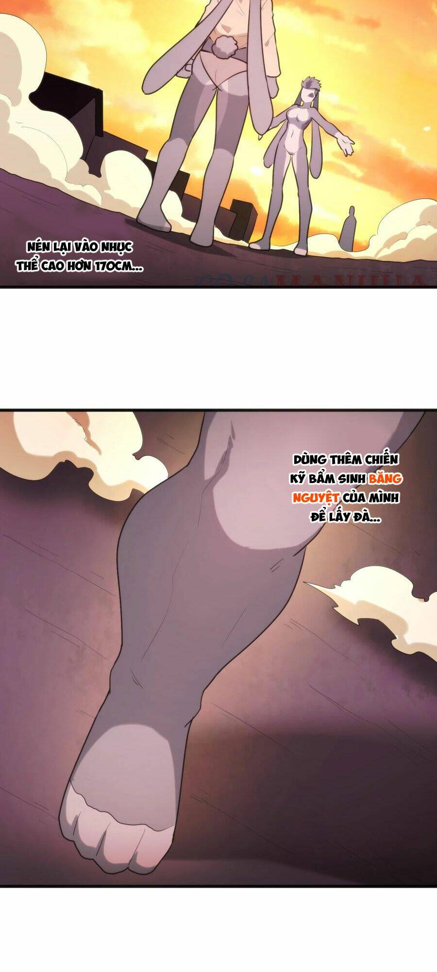 Bổn Thánh Nữ Ngã Bài Rồi Chapter 218 - Trang 2