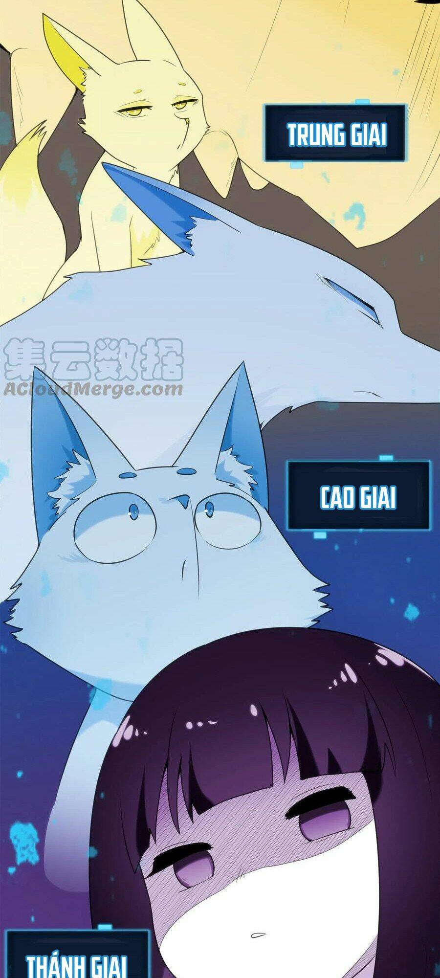 Bổn Thánh Nữ Ngã Bài Rồi Chapter 7 - Trang 2