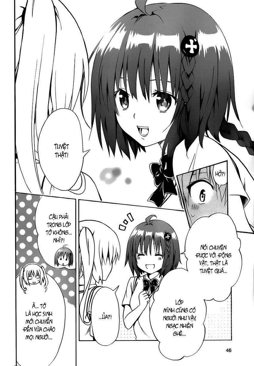 Bọn Tớ Thích Cậu! Rito 2 Chapter 1 - Trang 2