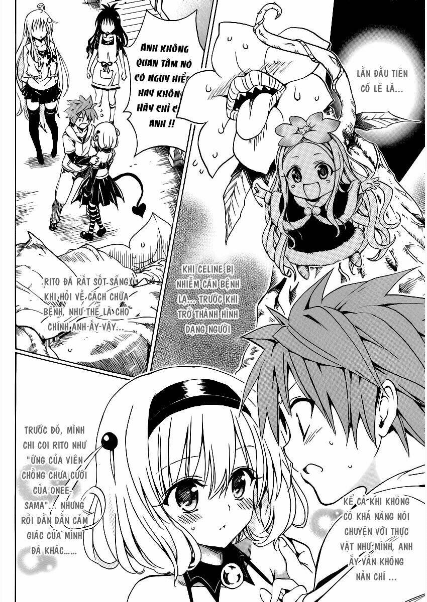 Bọn Tớ Thích Cậu! Rito 2 Chapter 14.5 - Trang 2